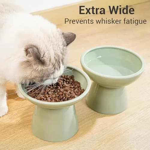 CEEFU 2-Pack Elevated Ceramic Cat Bowls Extra Wide for Food & Water | Whisker-Friendly, Stable & Stylish thumbnail 5