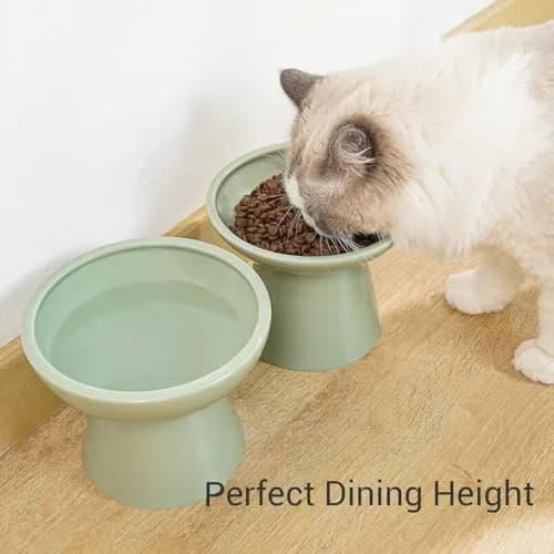 CEEFU 2-Pack Elevated Ceramic Cat Bowls Extra Wide for Food & Water | Whisker-Friendly, Stable & Stylish thumbnail 4