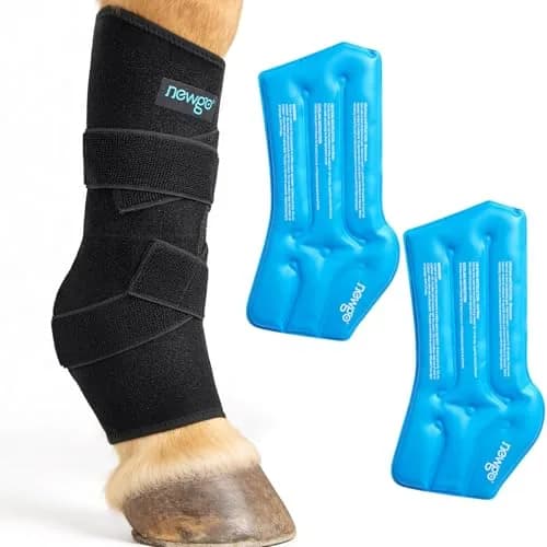 NEWGO Horse Ice Pack, 16.7"x 15" Contoured Wrap with 2 Gel Packs | Soft Neoprene Cover for Soft Tissue Relief thumbnail 1