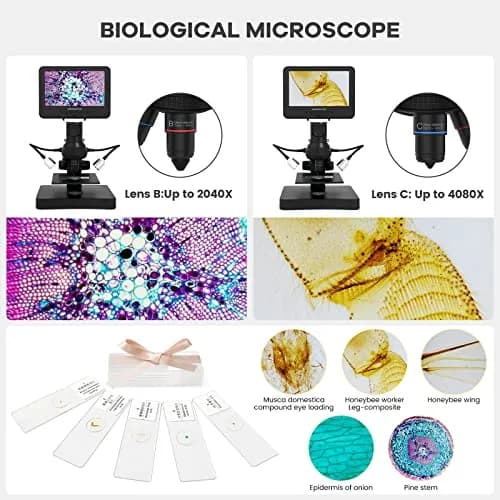 Andonstar AD246S-P HDMI Digital Microscope with 7'' Screen, 4000x 3 Lens | UHD 2160P Video Record, Coin & Biological Use thumbnail 6