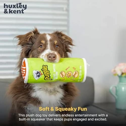 Huxley & Kent Power Plush Squeaky Dog Toy, Puggles Can, Small (6.5 x 2.5 x 2.5 inches / 16.5 x 6.4 x 6.4 cm) thumbnail 6