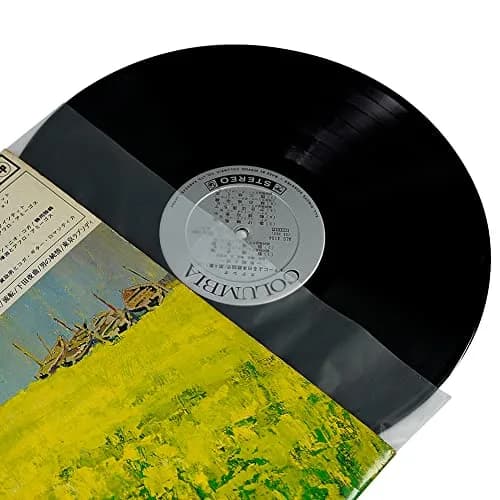 sdroceRyaM 50PCS 12 Inches LP Vinyl Record Inner Sleeves Plastic Protective Sleeves | Anti Static Round Bottom Sleeves, Translucent thumbnail 2
