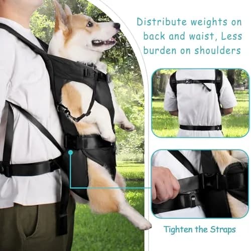 PetBonus Dog Front Carrier Backpack, Legs Out, Easy-fit, Breathable, 14.0"L x 10.5"W x 3.9"H, Black thumbnail 3