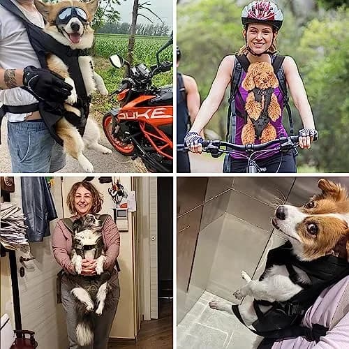 PetBonus Dog Front Carrier Backpack for Small & Medium Dogs | Breathable & Adjustable (14.8"L x 12.1"W x 3.9"H) thumbnail 6