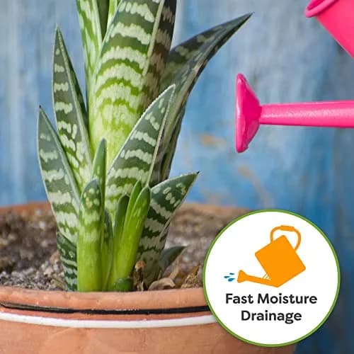 Perfect Plants Snake Plant Soil, 8 qt | Fast Drainage & All-Natural Materials thumbnail 4