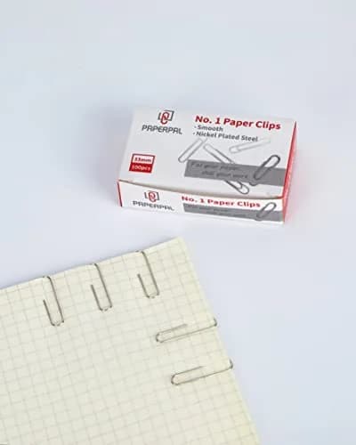 PAPERPAL Smooth Paper Clip #1 Size (33mm x 8mm) | 600 Count Silver Alloy Steel Clips thumbnail 5