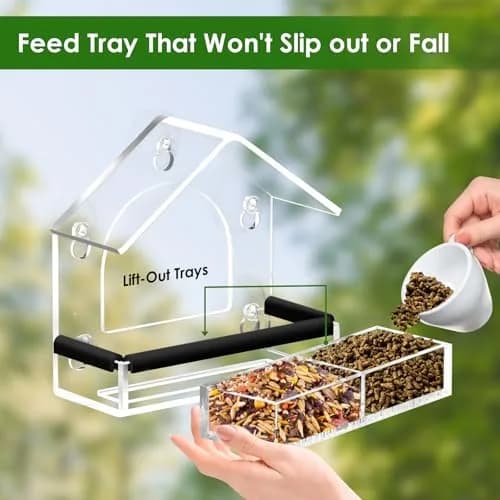 DY-SKTY Clear Window Bird Feeder with 5 Strong Suction Cups | Durable Acrylic Bird Watching Gift thumbnail 4