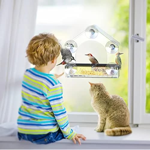 DY-SKTY Clear Window Bird Feeder with 5 Strong Suction Cups | Durable Acrylic Bird Watching Gift thumbnail 6