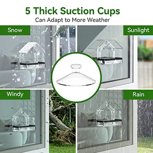 DY-SKTY Clear Window Bird Feeder with 5 Strong Suction Cups | Durable Acrylic Bird Watching Gift thumbnail 2