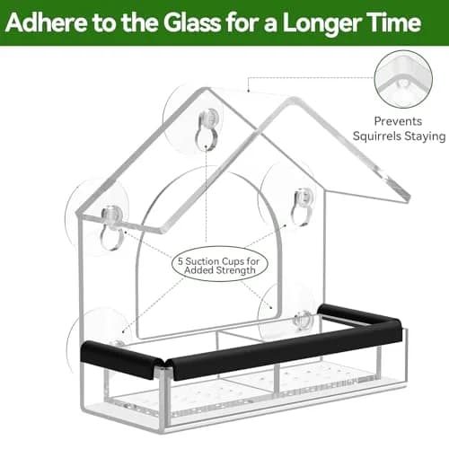 DY-SKTY Clear Window Bird Feeder with 5 Strong Suction Cups | Durable Acrylic Bird Watching Gift thumbnail 3