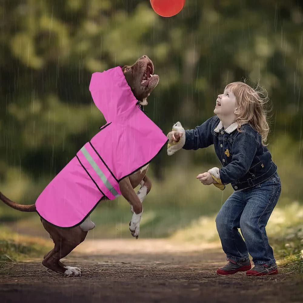 Ezierfy Reflective Dog Rain Coat - Waterproof Adjustable Pet Rain Jacket, Lightweight Dog Hooded Poncho Raincoat for Large Dogs | Safety & Comfort thumbnail 4
