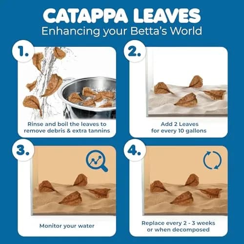 SunGrow Indian Almond Leaves for Aquarium, 100 pcs, 2” Water Conditioner Leaves, Betta Fish & Shrimp Habitat (110c) thumbnail 5