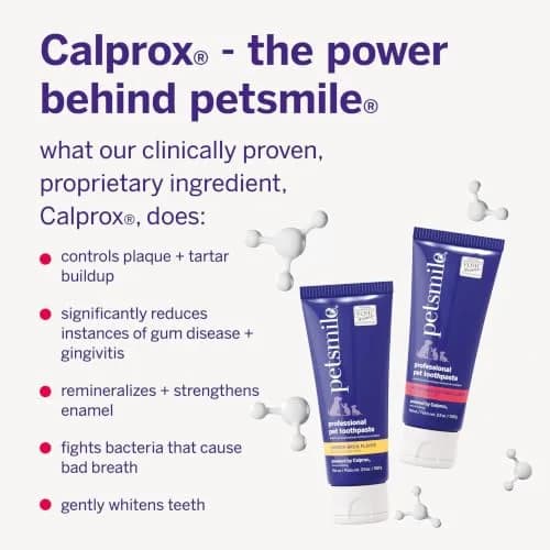 Petsmile VOHC Accepted Toothpaste Rotisserie Chicken 74g (2.5 Oz) | Vet-Approved Pet Dental Care for Dogs & Cats thumbnail 5