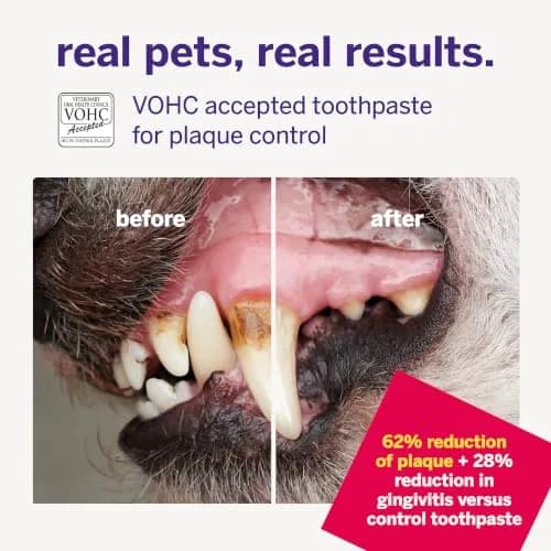 Petsmile VOHC Accepted Toothpaste Rotisserie Chicken 74g (2.5 Oz) | Vet-Approved Pet Dental Care for Dogs & Cats thumbnail 6