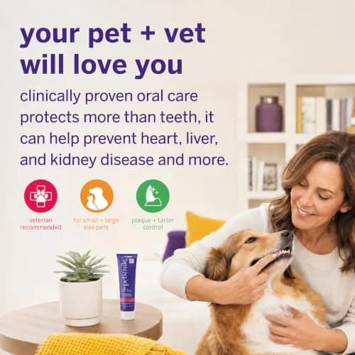 Petsmile VOHC Accepted Toothpaste Rotisserie Chicken 74g (2.5 Oz) | Vet-Approved Pet Dental Care for Dogs & Cats thumbnail 3