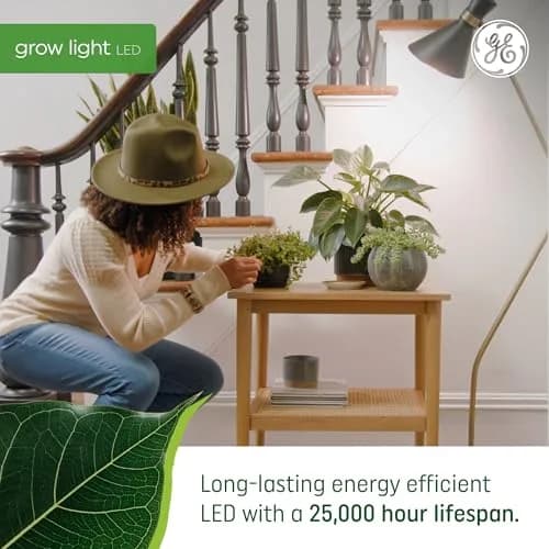 GE Grow LED Light Bulb for Plants Seeds and Greens | Balanced Spectrum, A19 (2 Pack) | Indoor Plant Growth thumbnail 4