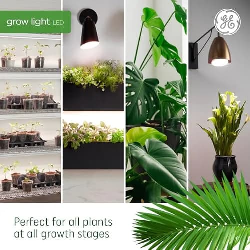 GE Grow LED Light Bulb for Plants Seeds and Greens | Balanced Spectrum, A19 (2 Pack) | Indoor Plant Growth thumbnail 5