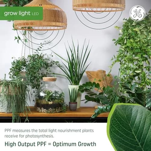 GE Grow Lights for Indoor Plants, A19 LED Bulbs, 2 Pack | Full Spectrum Red Light, 25,000 Hours Lifespan thumbnail 3