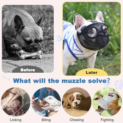 BARKLESS French Bulldog Muzzle XS (Head 13-14.5'') | Breathable Mesh Short Snout Dog Muzzle for Panting, Biting, Grooming thumbnail 6