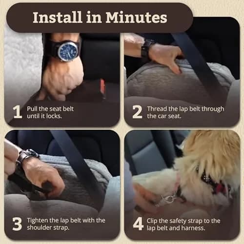 Snoozer Pet Products Lookout 2 Dog Car Seat, Birch Diamond, Medium | Elevated Travel Safety & Comfort thumbnail 6