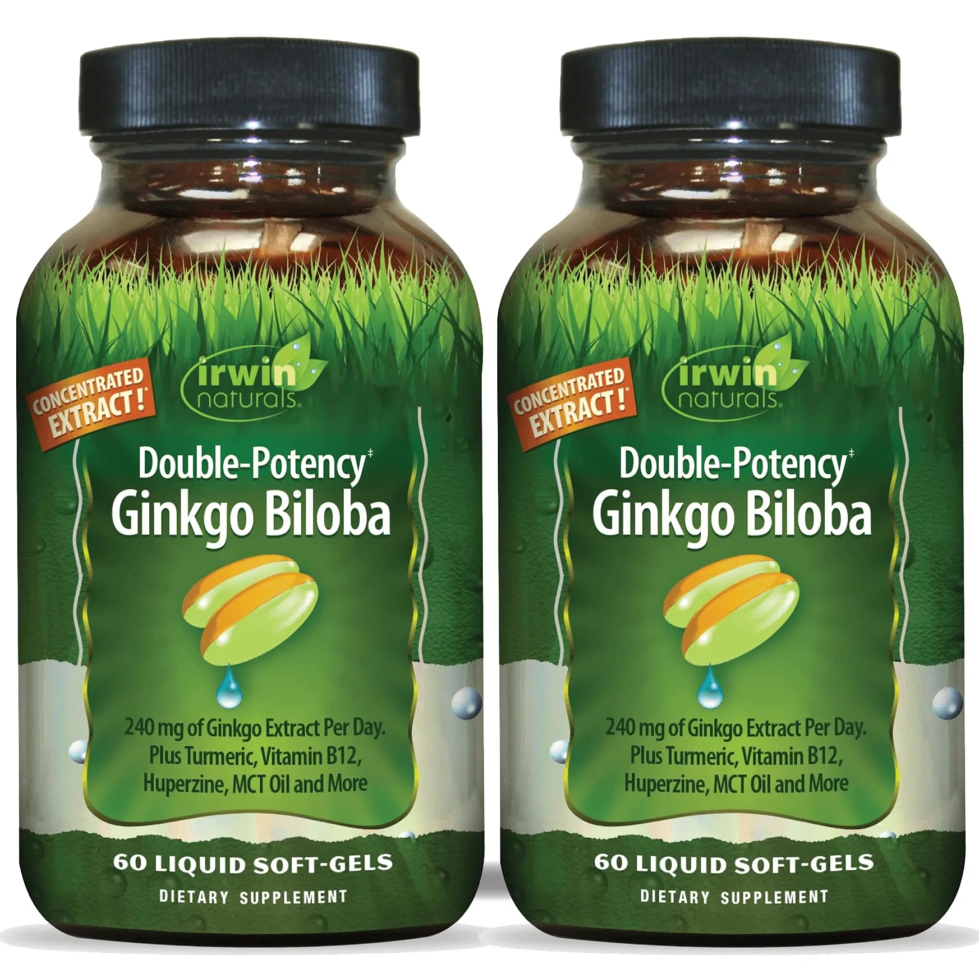 Irwin Naturals Double-Potency Ginkgo Biloba 120 Liquid Soft-Gels | Supports Memory & Brain Wellness - main product image