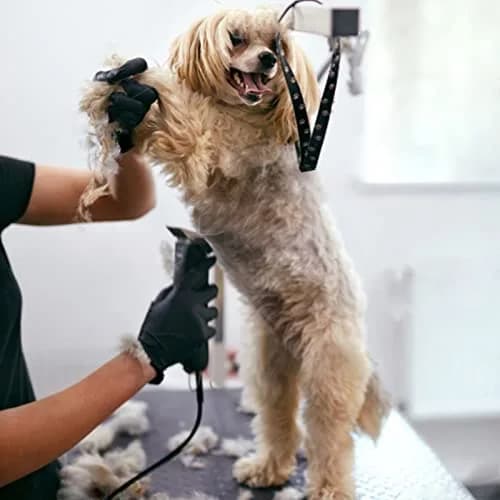 Audoc 5FC Blade Dog Grooming Clipper Blades | Compatible with Andis Dog Clipper, Ceramic & Stainless Steel, 6.3mm Cut thumbnail 8