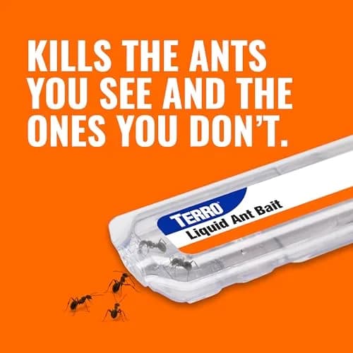 TERRO Liquid Ant Killer Bait Stations 18-Count | Kills Ants & Queen, 0.5 fl oz (15 ml) Each thumbnail 4