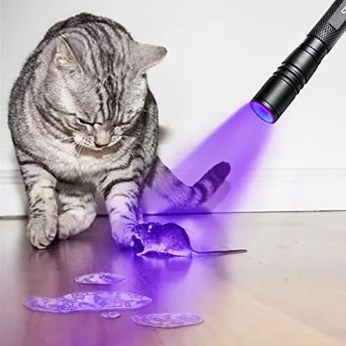 COSMOING Zoomable UV Blacklight Flashlight 5.4 inch | Detects Pet Stains & Hidden Ink thumbnail 6