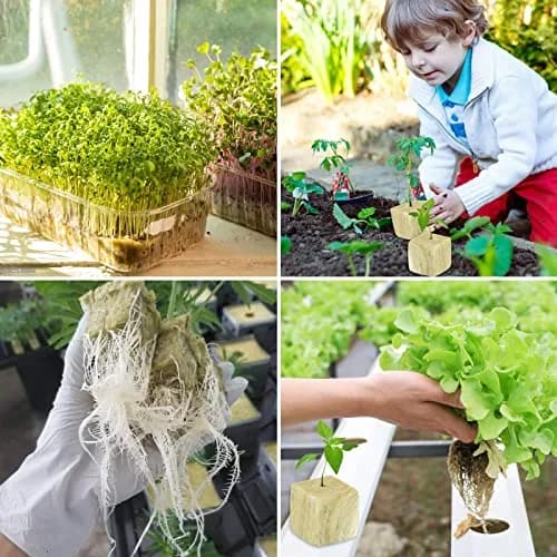 Legigo 1.2 Inch Rockwool Cubes Seed Starter Plugs 144 Count | Hydroponics & Soilless Gardening thumbnail 6