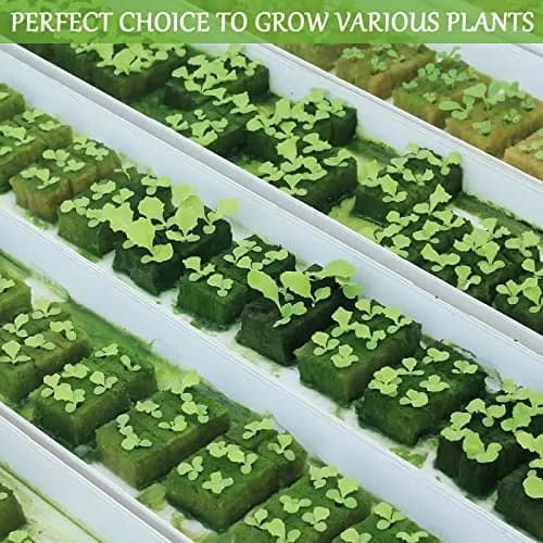 Legigo 1.2 Inch Rockwool Cubes Seed Starter Plugs 144 Count | Hydroponics & Soilless Gardening thumbnail 7