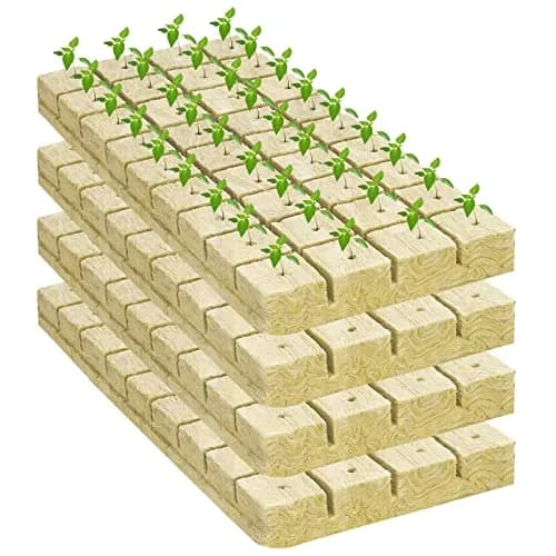 Legigo 1.2 Inch Rockwool Cubes Seed Starter Plugs 144 Count | Hydroponics & Soilless Gardening thumbnail 8