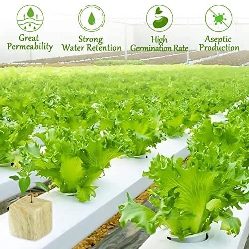 Legigo 1.2 Inch Rockwool Cubes Seed Starter Plugs 144 Count | Hydroponics & Soilless Gardening thumbnail 4