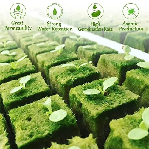 Legigo 2 Inch Rockwool Cubes Seed Starter Plugs 96 Plugs | Hydroponic Growing Media for Faster Rooting thumbnail 5