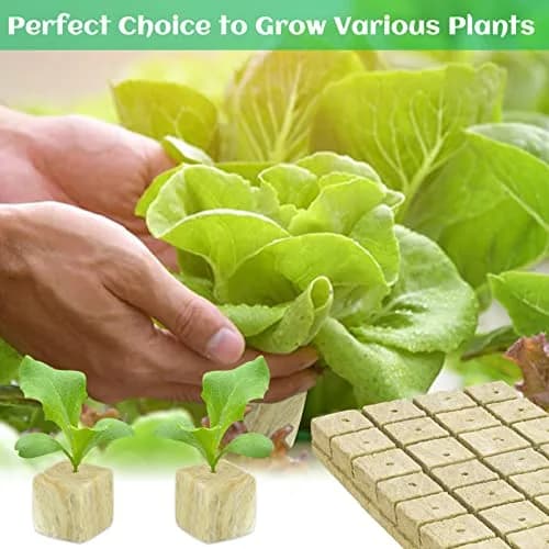 Legigo 2 Inch Rockwool Cubes Seed Starter Plugs 96 Plugs | Hydroponic Growing Media for Faster Rooting thumbnail 6