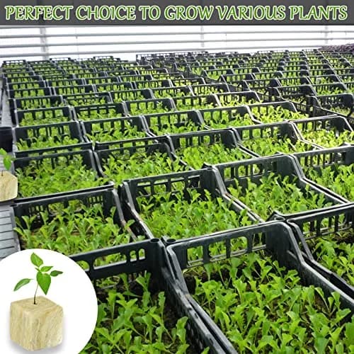 Legigo 2 Inch Rockwool Cubes Seed Starter Plugs 96 Plugs | Hydroponic Growing Media for Faster Rooting thumbnail 8