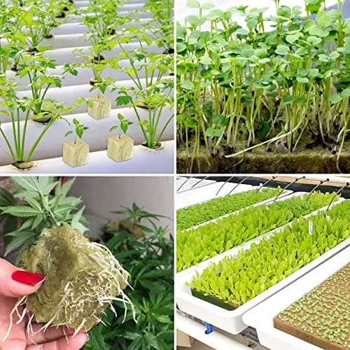 Legigo 2 Inch Rockwool Cubes Seed Starter Plugs 96 Plugs | Hydroponic Growing Media for Faster Rooting thumbnail 9