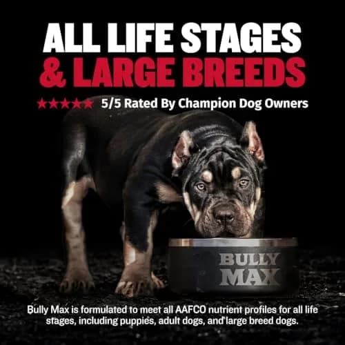 Bully Max 2-in-1 Muscle Builder for Dogs - 30 Chewable Tablets | Vet-Endorsed Dog Multivitamin for Muscle Gain & Growth thumbnail 4