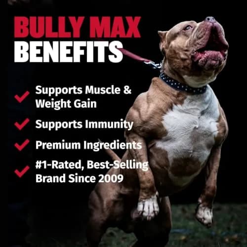 Bully Max 2-in-1 Muscle Builder for Dogs - 30 Chewable Tablets | Vet-Endorsed Dog Multivitamin for Muscle Gain & Growth thumbnail 2