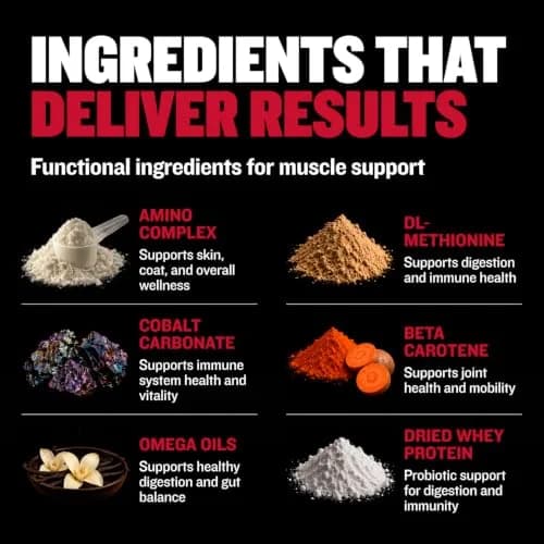 Bully Max 2-in-1 Muscle Builder for Dogs - 30 Chewable Tablets | Vet-Endorsed Dog Multivitamin for Muscle Gain & Growth thumbnail 3