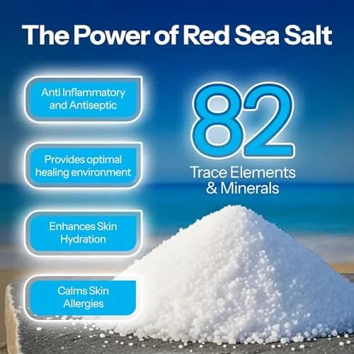 H2Ocean Piercing Aftercare Spray & Keloid Removal 3-Pack | 360ml (12 Fl Oz) Sea Salt Solution for New Piercings thumbnail 5