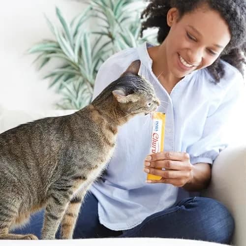 INABA Churu Cat Treats Tuna Variety Box 20 Tubes | High Moisture, Low Calorie Lickable Purée thumbnail 4