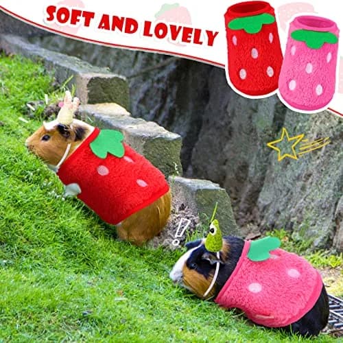 Mixweer Guinea Pig Accessories 2 Mini Hats & 2 Clothes | Adjustable Strap, Cozy & Cute thumbnail 7