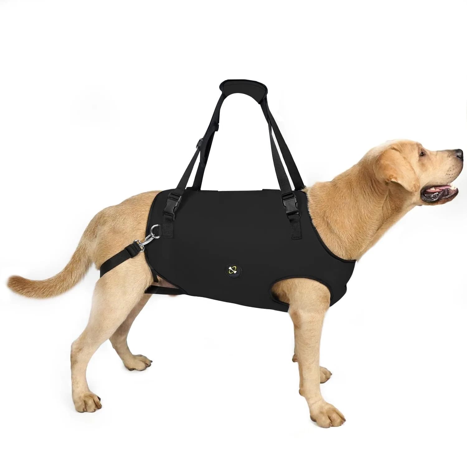 Coodeo Dog Lift Harness, Pet Support Sling M (Blue) | Adjustable Padded Straps for Senior & Disabled Dogs — Black