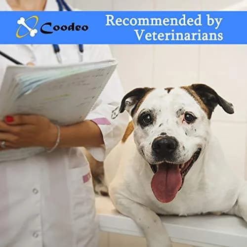 Coodeo Black Dog Lift Harness with Adjustable Padded Straps for Large Dogs | Support & Rehabilitation Sling for Old, Disabled, Joint Injuries, Arthritis, Loss of Stability thumbnail 3