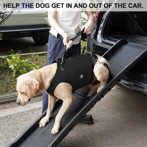 Coodeo Dog Lift Harness XL Black | Adjustable Padded Support Sling for Old, Disabled, Injured Dogs thumbnail 6