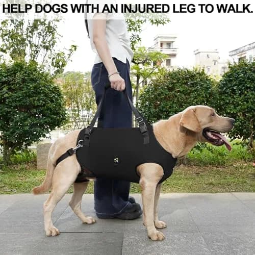 Coodeo Dog Lift Harness for Old & Disabled Dogs, Medium Black, 0.23 kg (0.51 lb) | Rehabilitation Sling with Adjustable Straps thumbnail 6