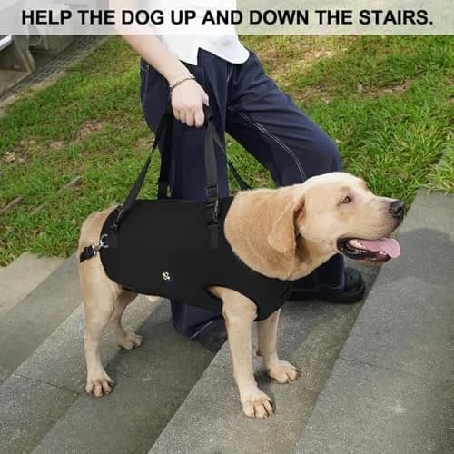 Coodeo Dog Lift Harness for Old & Disabled Dogs, Medium Black, 0.23 kg (0.51 lb) | Rehabilitation Sling with Adjustable Straps thumbnail 2