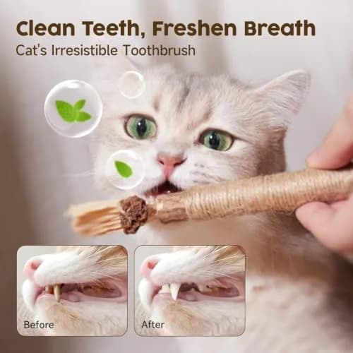 Potaroma Natural Silvervine Sticks Cat Toys 6 Pcs | Catnip & Silvervine Blend for Dental Care & Play thumbnail 4