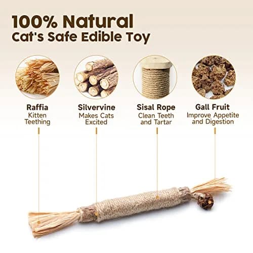 Potaroma Natural Silvervine Sticks Cat Toys 6 Pcs | Catnip & Silvervine Blend for Dental Care & Play thumbnail 2