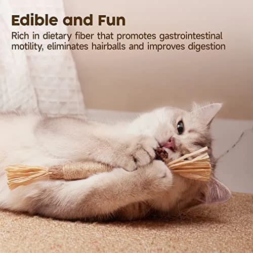 Potaroma Natural Silvervine Sticks Cat Toys 6 Pcs | Catnip & Silvervine Blend for Dental Care & Play thumbnail 3